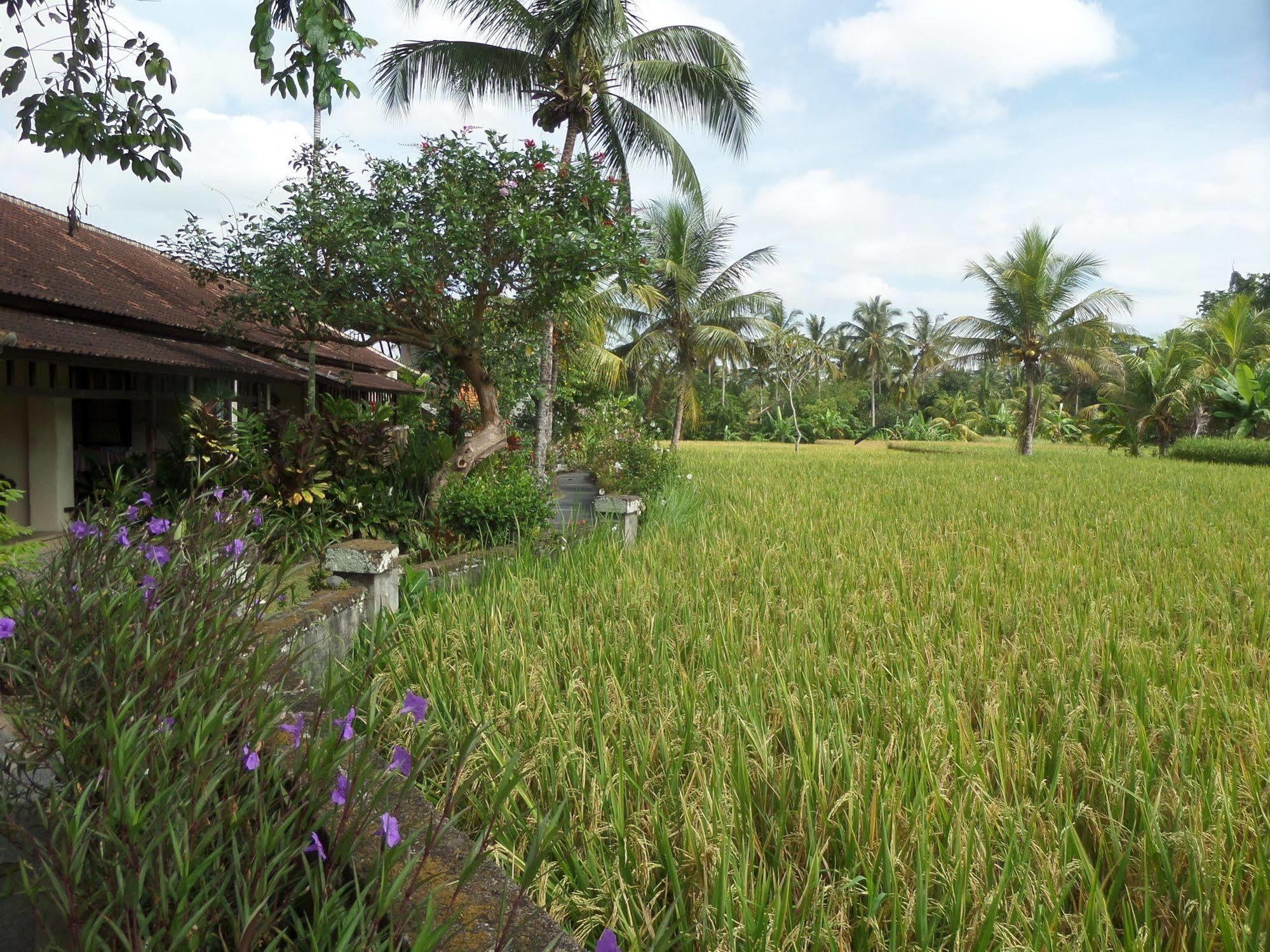 Resort Anini Raka &